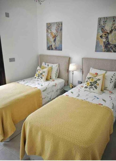 Bahia Homes 또레비에하 외부 사진